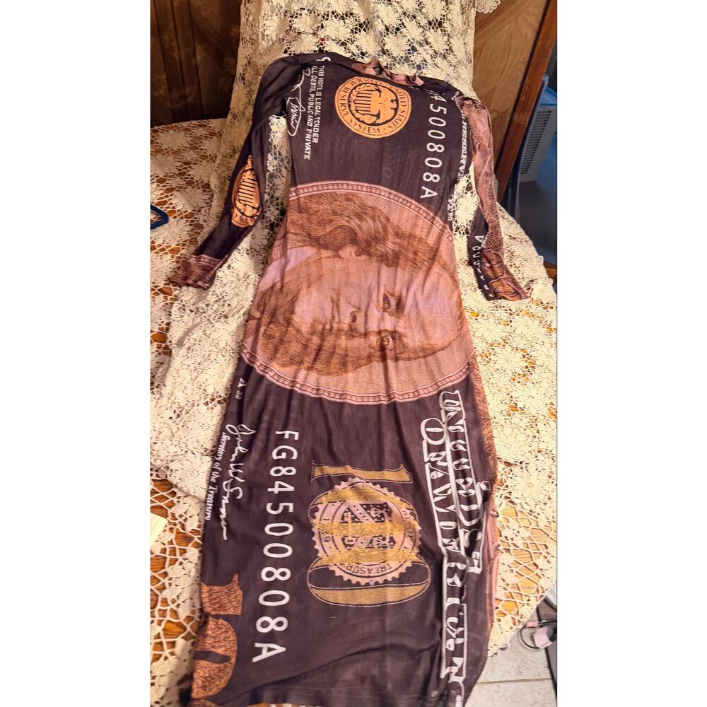Brown Money Print Mesh Maxi Dress Sheer Stretch Long Sleeve Statement Dress
